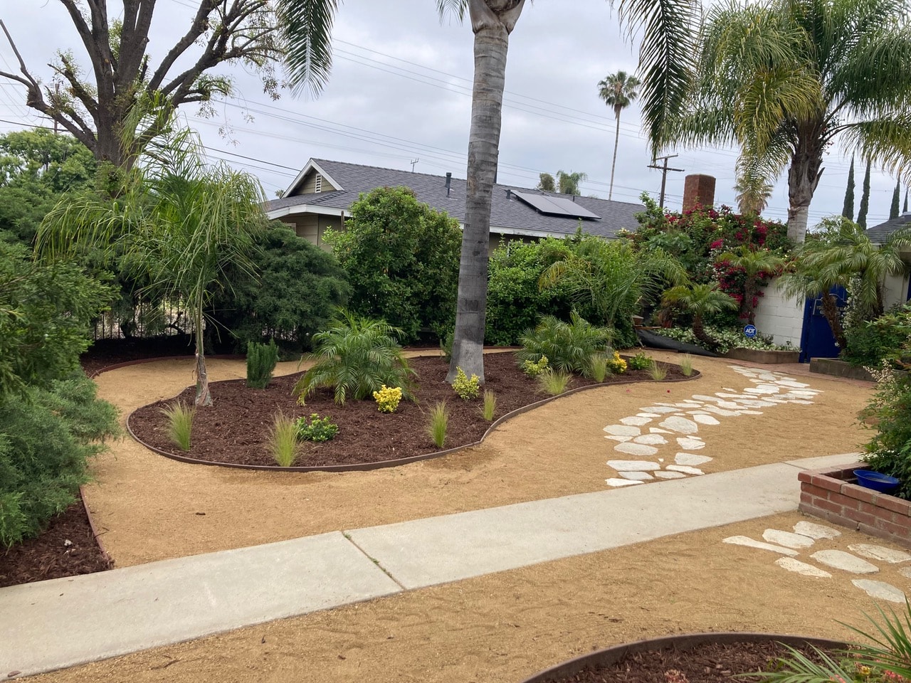 Garden path and palms at The Soul Center Yoga